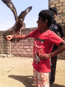 a boy in a red shirt that says always on it holds a bird