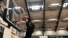 a basketball hoop with a grizzly logo on the wall