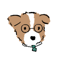 a brown and white dog wearing glasses and a green bow tie