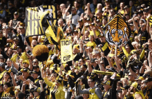 a tigers fan holds up a sign that says tiger cup