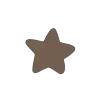 a brown star on a white background with no shadow