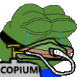 a green frog with a rope around its neck is crying and holding a sign that says copium .