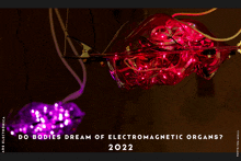 a poster that says " do bodies dream of electromagnetic organs "