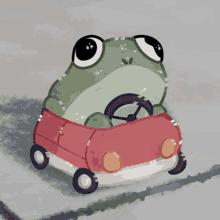 a frog is driving a small red car on a road