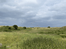 a group of kites are flying in a field with a cloudy sky