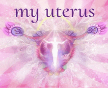 a pink background with the words " my uterus "