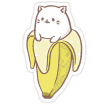 a white cat is sitting inside of an open banana .