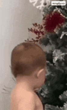 a baby standing in front of a christmas tree .