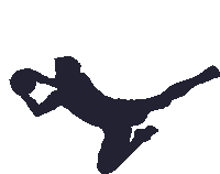 a silhouette of a basketball player jumping to catch the ball