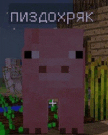 a minecraft pig is standing in front of a fence in a field .