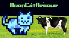 a cow is standing in a field next to a pixelated cat that says mooncat rescue