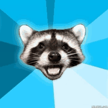 a picture of a raccoon 's head with its mouth open on a blue background