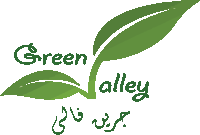 a green valley logo with a green leaf