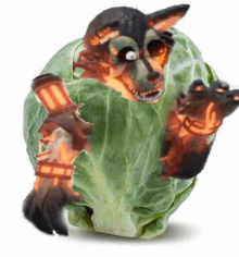 a picture of a cartoon character in a cabbage leaf