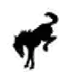 a black and white silhouette of a horse on its hind legs .