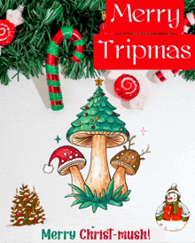 a merry tripmas greeting card with a mushroom christmas tree