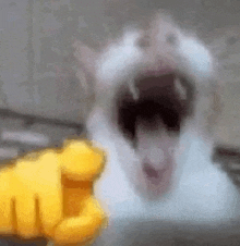 a close up of a cat with its mouth open being pointed at by a yellow hand .