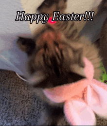 a cat wearing pink bunny ears with the words happy easter