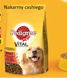 a bag of pedigree vital protection dog food with a picture of a dog on it