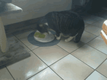 a cat is eating out of a bowl on the floor