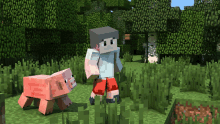 a man and a pig in a minecraft world