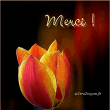 a picture of a flower with the words merci written on the bottom