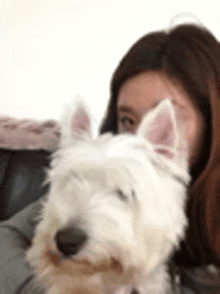 a woman is sitting on a couch with a white dog looking at the camera .