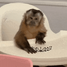 a monkey is sitting in a high chair that says violeta on it