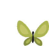 a green butterfly with black wings and a black tail on a white background