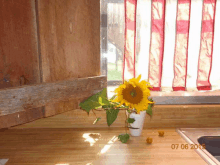 a sunflower in a vase sits on a kitchen counter