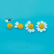 a blue background with flowers and the words i love you on top