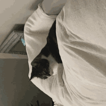 a black and white cat is laying on a person 's arm