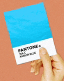 a person is holding a blue pantone card in their hand