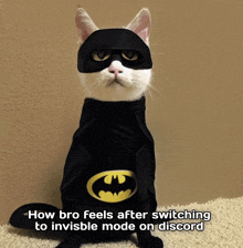 a cat wearing a batman costume with a caption that says how bro feels after switching to invisible mode on discord