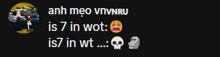 a black background with a skull and the words " anh meo vnvnru "