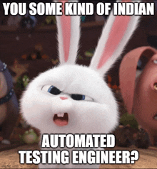 a cartoon rabbit with the caption " you some kind of indian automated testing engineer ? "