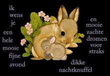 a picture of two rabbits with flowers and the words " ik wens je een hele mooie fijne avond "