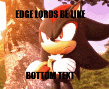 a picture of shadow the hedgehog with the words " edge lords be like bottom text "