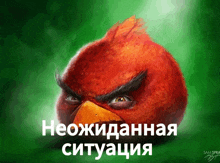 a painting of an angry bird with a green background and russian text