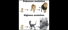 a lion , a cat , a dinosaur , and a refrigerator are shown in a pokemon evolution meme .