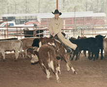 a man in a cowboy hat is riding a brown and white cow in a pen