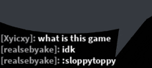 a black background with white text that says ' what is this game realsbyake idk realsbyake sloppytoppy '