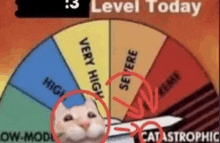 a cat is standing in front of a spinning wheel with a very high level today .