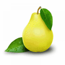 a yellow pear with green leaves and water drops on them