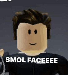 a pixelated image of a roblox character with the words smol faceeee written on it .