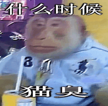 a picture of a monkey with chinese writing on the bottom