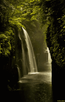 a waterfall is surrounded by trees in a dark forest and a photo of it was taken by erin gainer