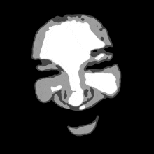 a black and white drawing of a face with a white outline