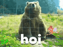 a bear behind a wire fence with the word hoi on it