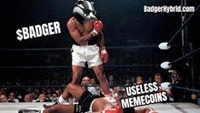 a boxing ring with a badger on his head and the words badger and useless memecoins on the bottom